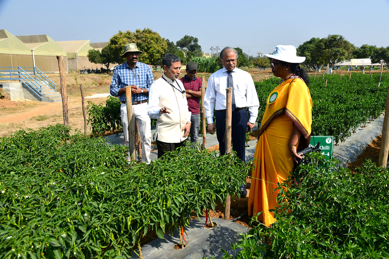 Indian Institute of Horticultural Research Bangalore EVENTS photo 5