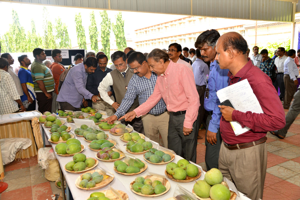 Indian Institute of Horticultural Research Bangalore EVENTS photo 13