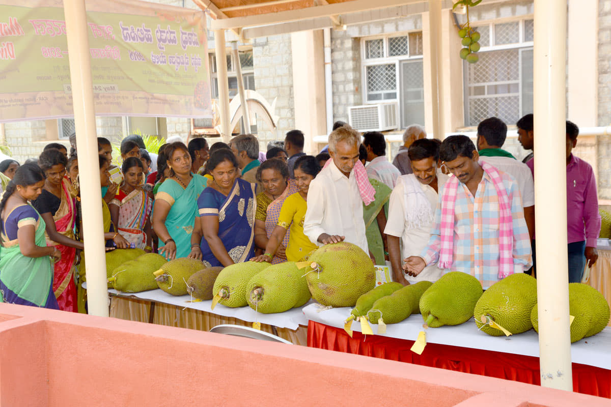 Indian Institute of Horticultural Research Bangalore EVENTS photo 14