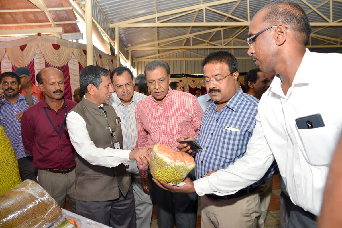 Indian Institute of Horticultural Research Bangalore EVENTS photo 17