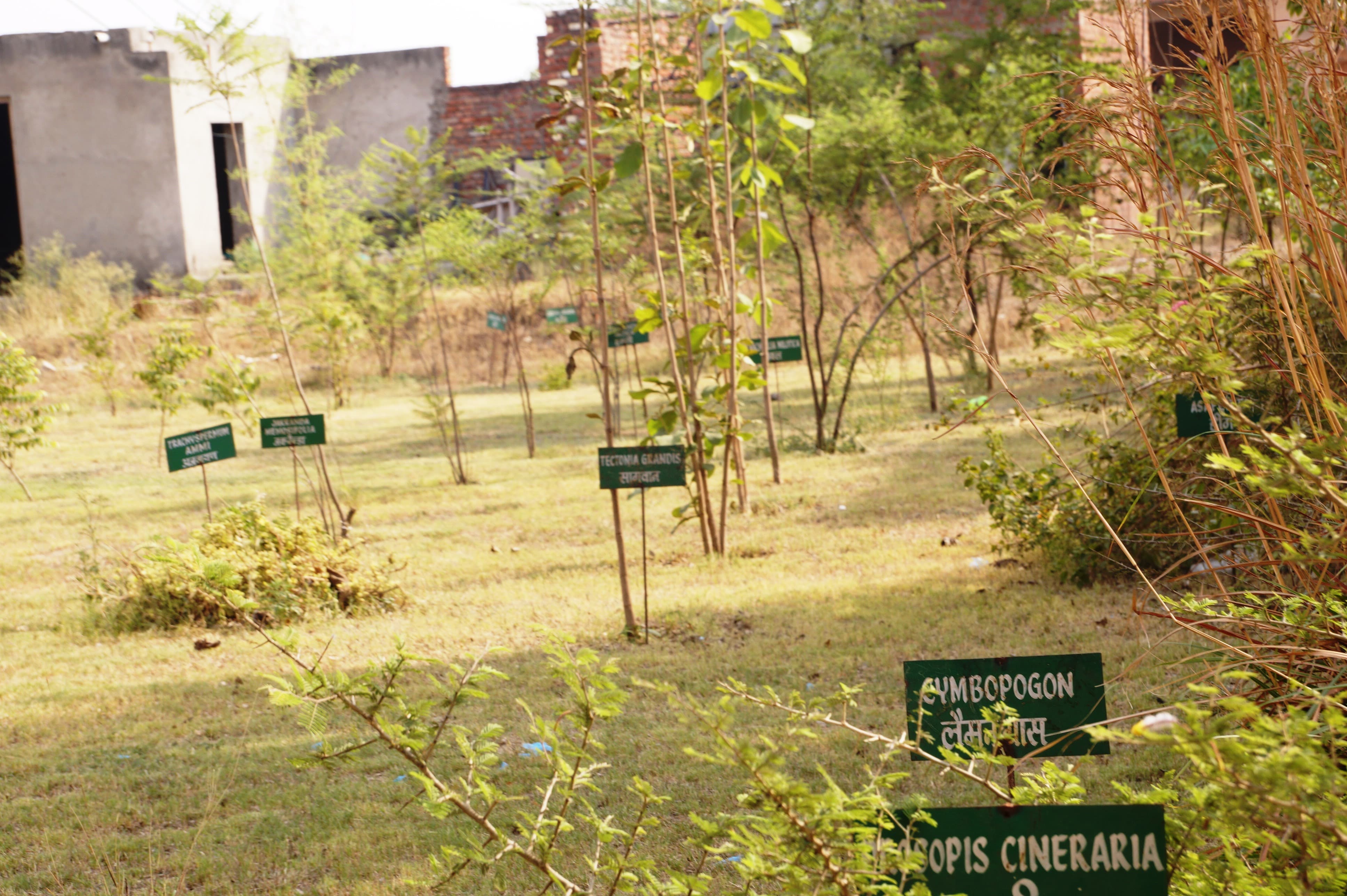 Divya Jyoti Ayurvedic Medical College & Hospital, Modinagar Ghaziabad hostel photo 9