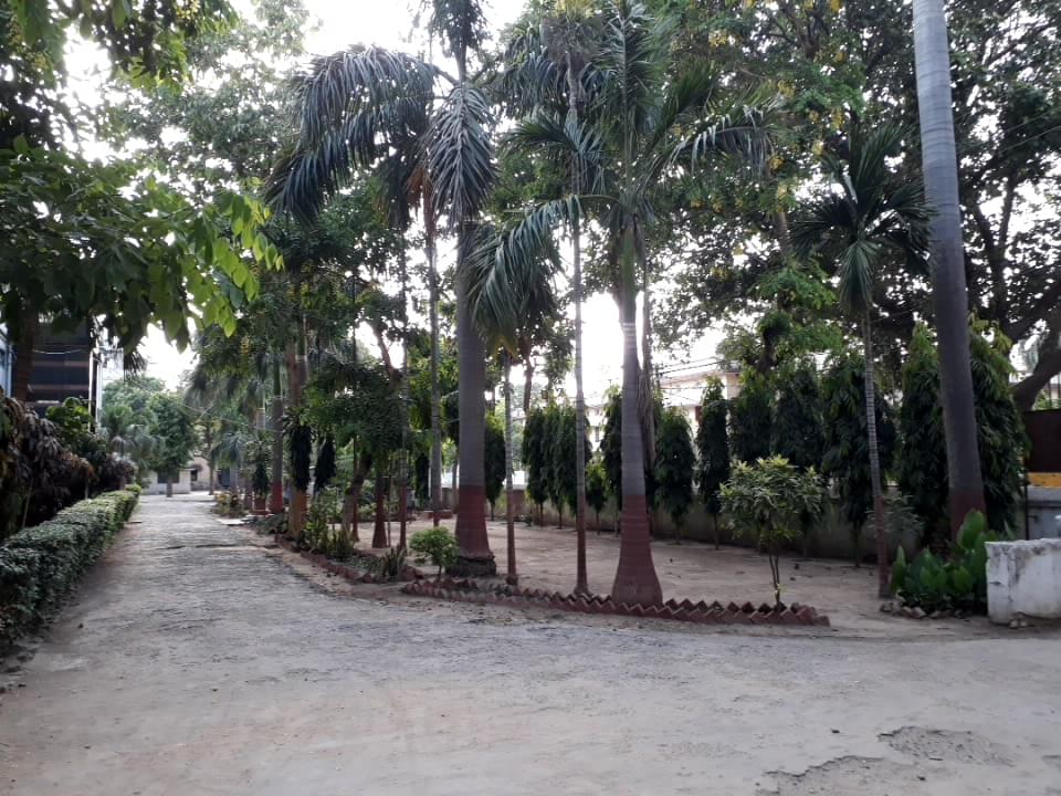Patna Law College CAMPUS photo 5
