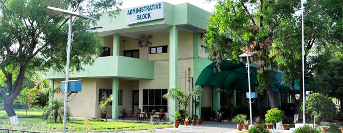 CU Punjab Campus photo 5