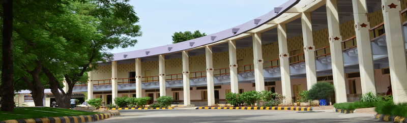 Arul Anandar College Madurai Campus photo 6