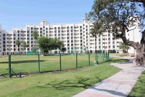 Symbiosis University of Applied Sciences Indore Campus photo 10