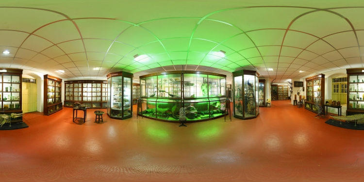 Sacred Heart College Ernakulam Campus photo 8