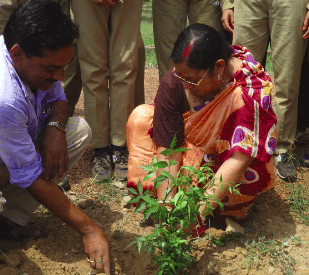 Raniganj Girls College Bundwan Plantation photo 3