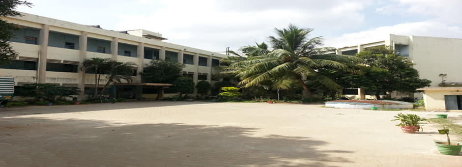 The New College Chennai Campus and facilities photo 13