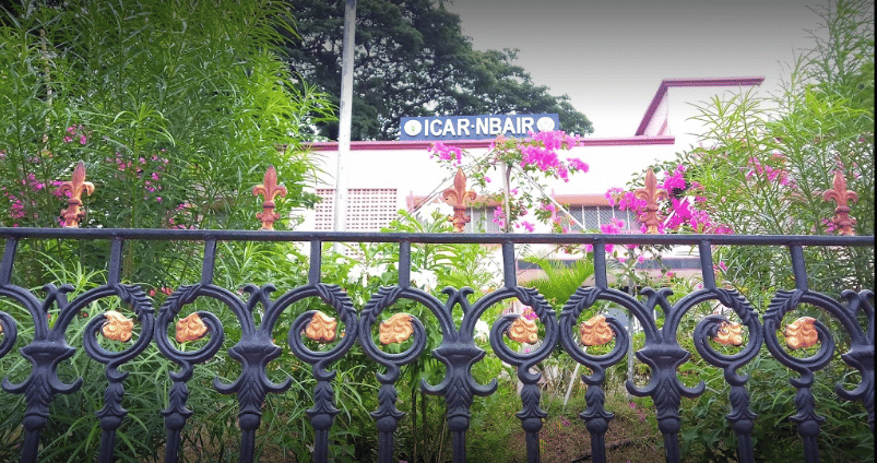 National Bureau of Agricultural Insect Resources Bangalore Campus photo 1