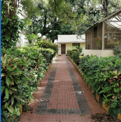 National Bureau of Agricultural Insect Resources Bangalore Campus photo 2