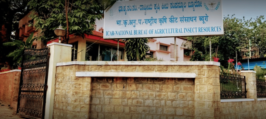 National Bureau of Agricultural Insect Resources Bangalore Campus photo 4