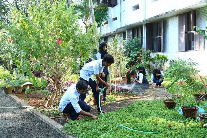 Nirmala College Muvattupuzha Tree Plantation photo 4