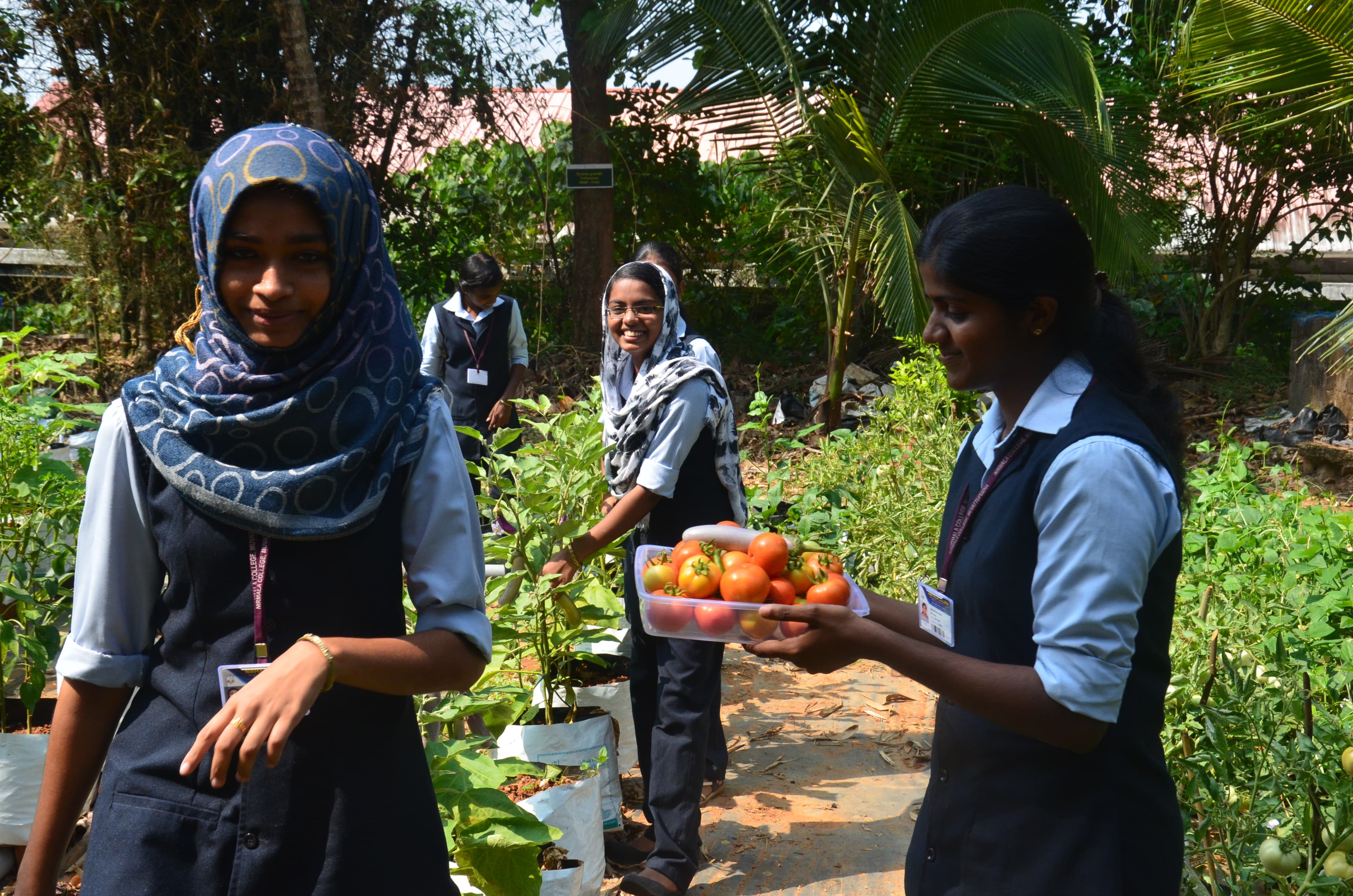 Nirmala College Muvattupuzha Tree Plantation photo 2