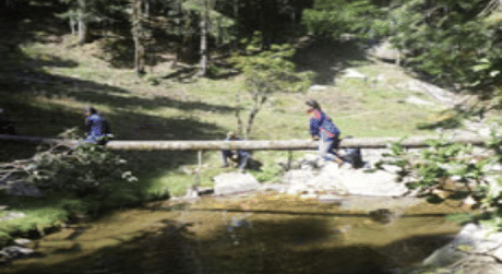 Government Kamla Raja Girls Post Graduate (Autonomous) College Gwalior Events photo 4