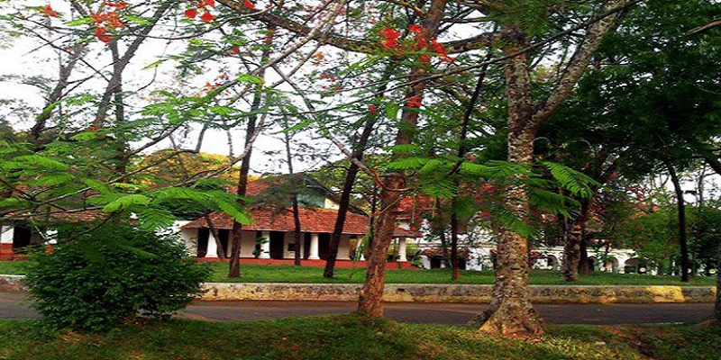 Ranchi Women's College Campus photo 11