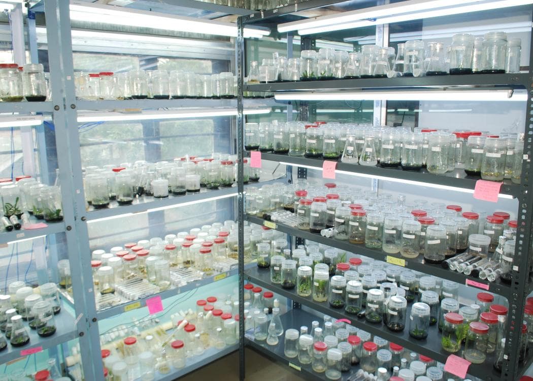 Pragjyotish College Guwahati Campus and Infrastructure photo 8