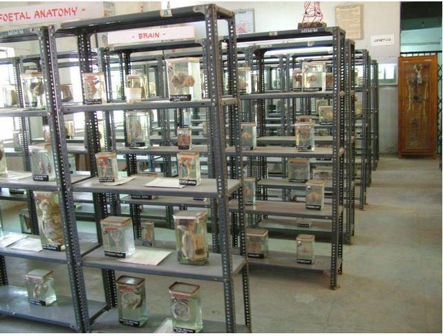 GMC Baroda Infrastructure and Facilities photo 14