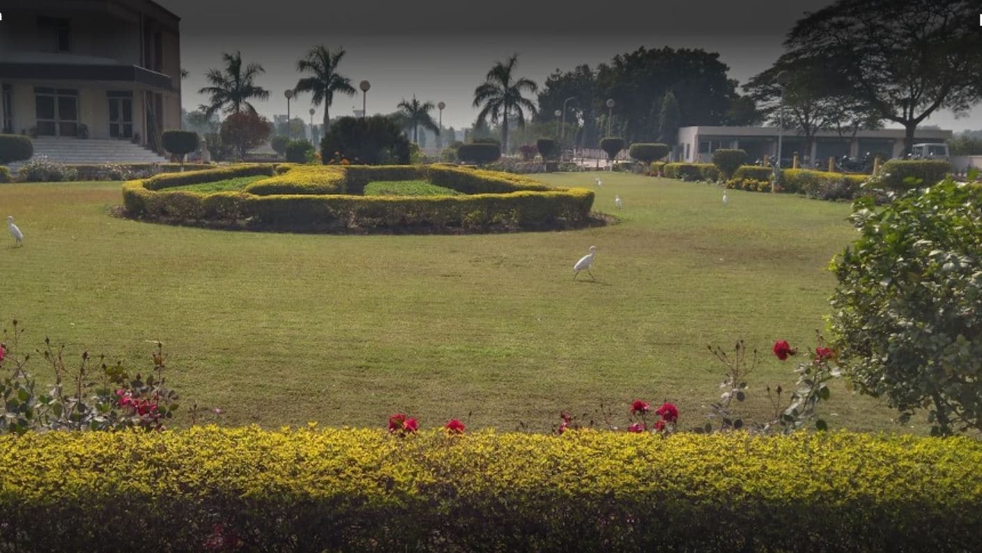 Indian Institute of Pulses Research Kanpur Campus photo 2