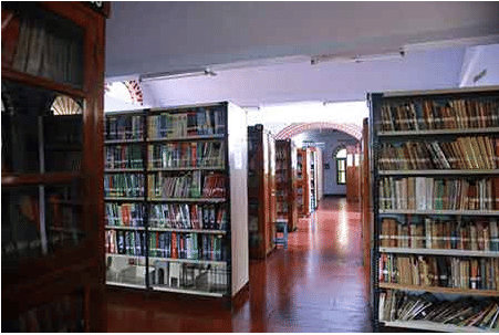 Mercy College Palakkad Campus photo 8