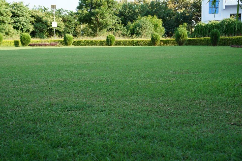 Mahatma Gandhi College of Law Gwalior Campus photo 3