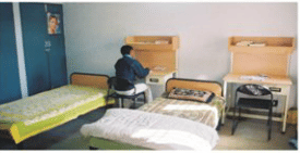 Directorate of Distance Education, Guru Jambheshwar University of Science & Technology Hisar Campus photo 8