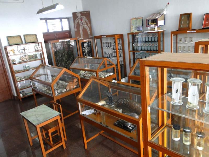 Maris Stella College Vijayawada Infrastructure photo 17