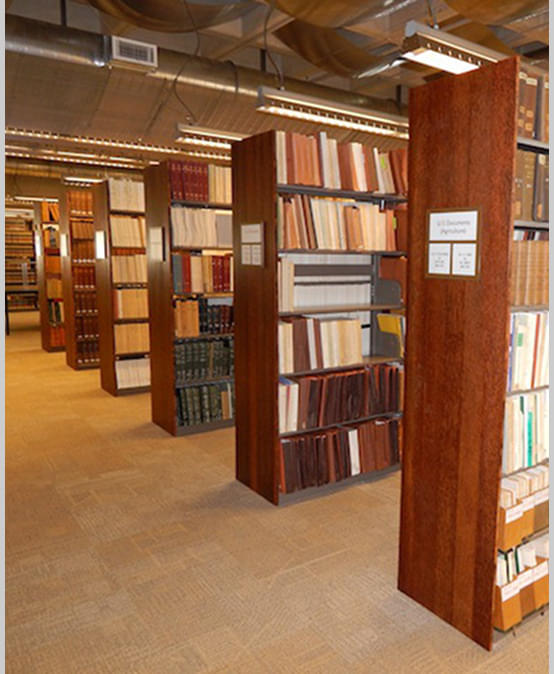 Nalanda Open University Infrastructure photo 4