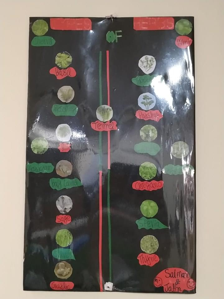 SYMK Institute Of Hospitality Management New Delhi Facilities photo 18