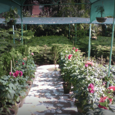 Government Polytechnic Bareilly Campus photo 6