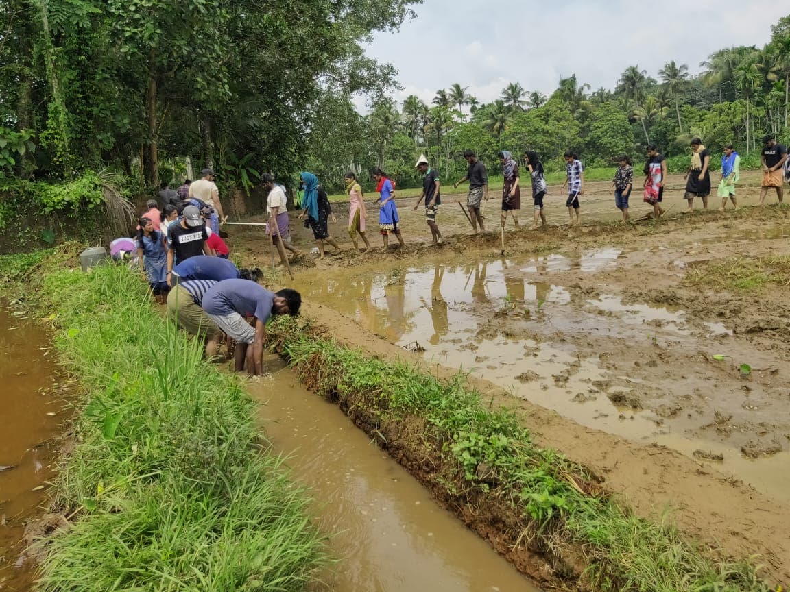 Sree Narayana Gurukulam College of Engineering Ernakulam Events and Activities photo 5