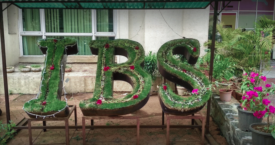 IBS Mumbai Campus photo 3