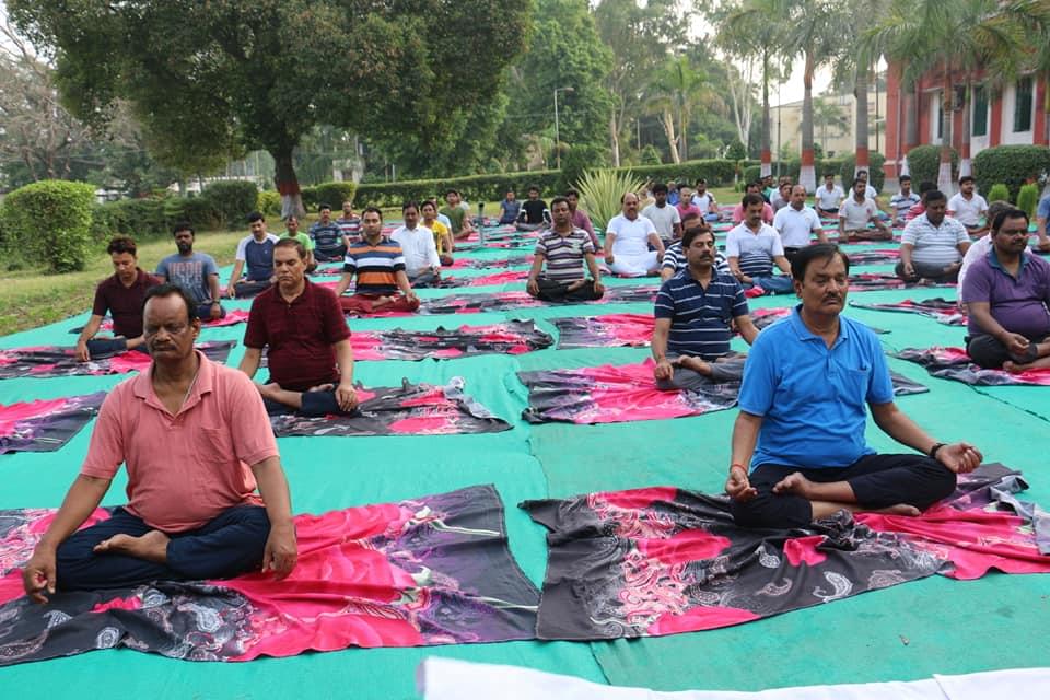 BAU Sabour Events and Activities photo 16