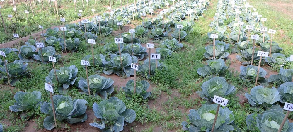 ITM University, School of Agriculture Gwalior Infrastructure photo 13