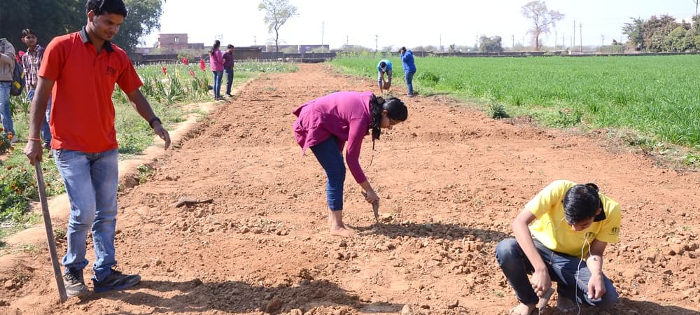 ITM University, School of Agriculture Gwalior Infrastructure photo 14