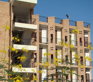 NLUJ Infrastructure photo 13