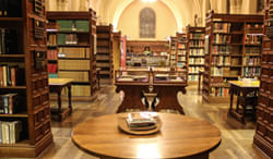 Tamil Nadu Physical Education and Sports University Chennai Campus photo 8