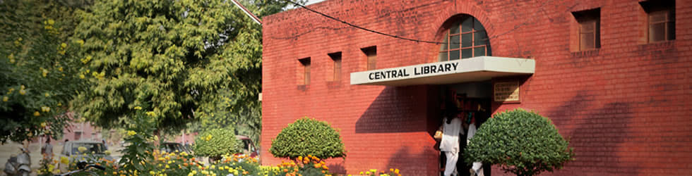 DEI Campus photo 11