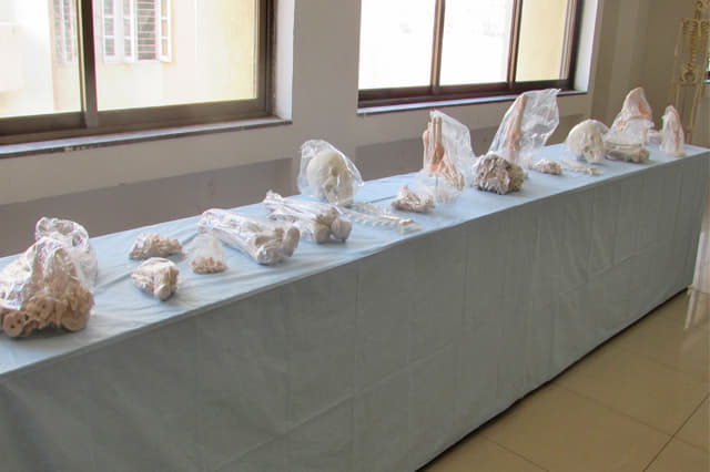 SKUM College of Physiotherapy Ahmedabad Facilities photo 2