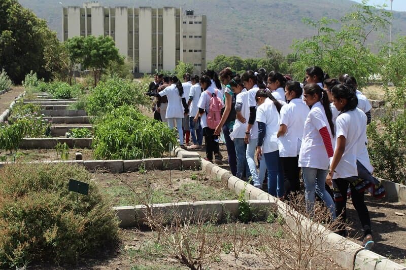 Faculty of Science, Noble Group of Institution Junagadh Curricular photo 11