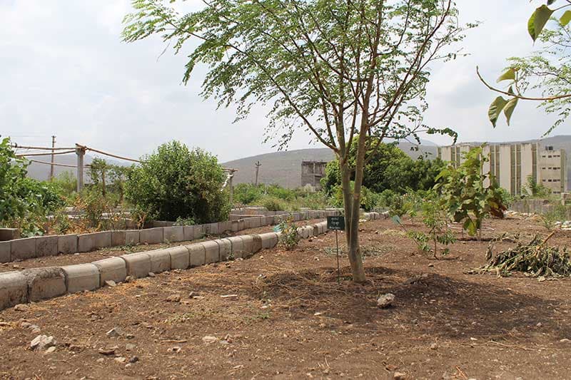 Noble Ayurved College and Research Institute Junagadh Facilities photo 14