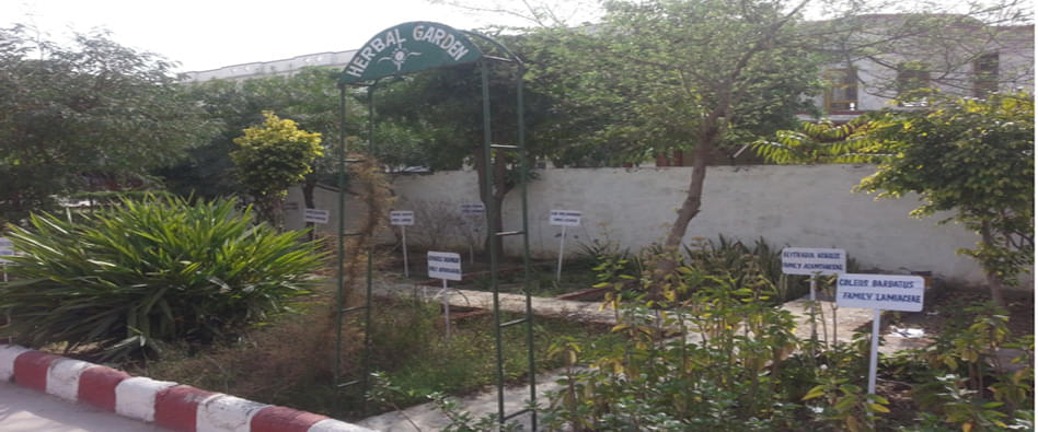 HIMT College of Pharmacy Greater Noida Campus and Facilities photo 3