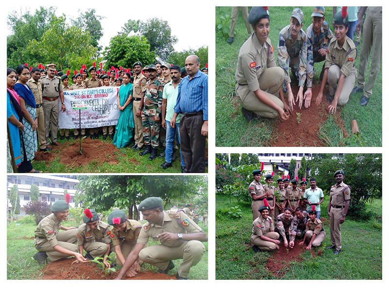 St. Mary's College Sulthan Bathery Sulthan Batheri Events photo 1