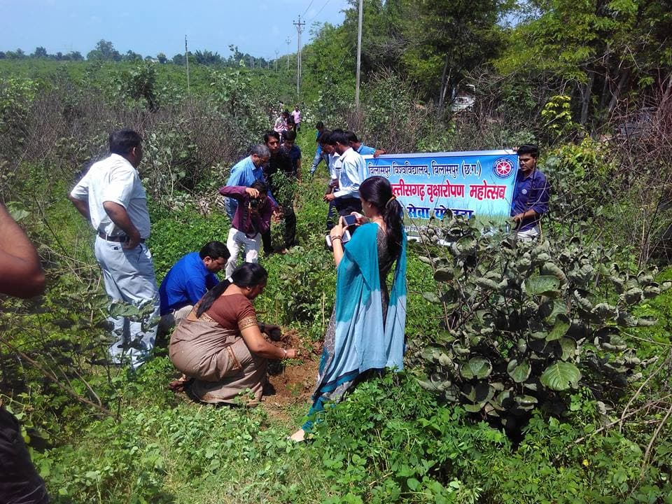 Bilaspur University Plantation photo 1