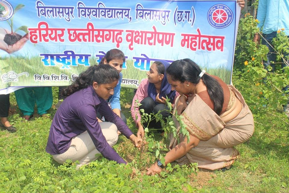 Bilaspur University Plantation photo 3