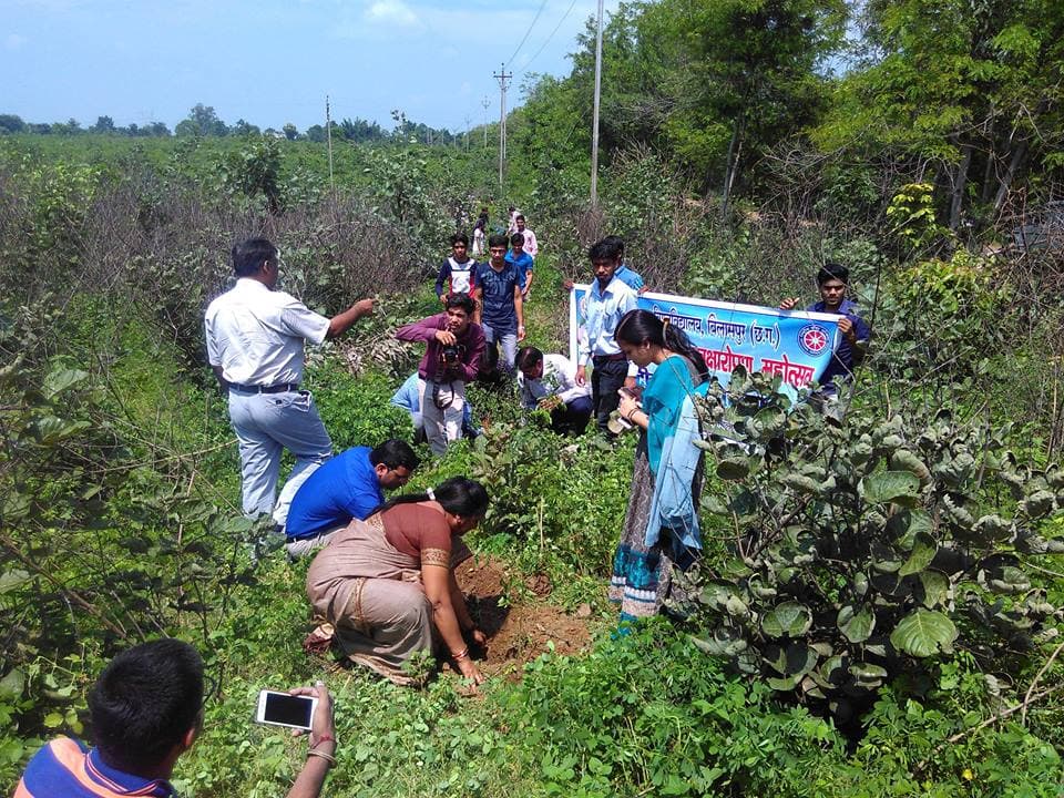 Bilaspur University Plantation photo 5