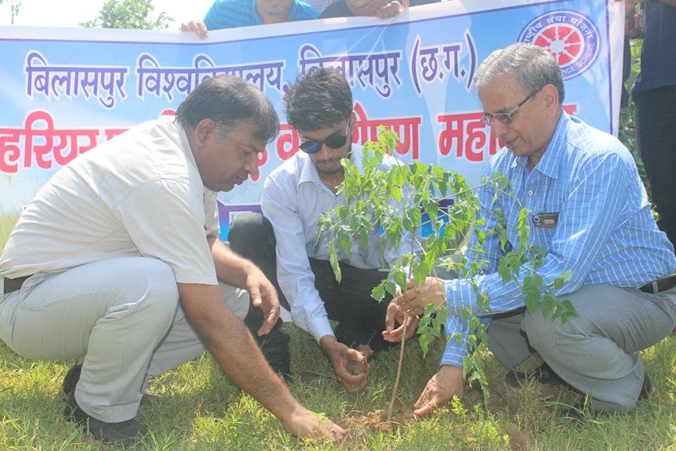 Bilaspur University Plantation photo 11