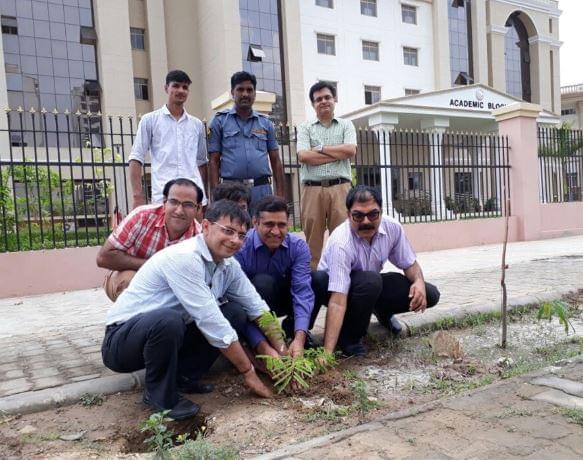 RUHS Plantation photo 1