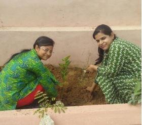 RUHS Plantation photo 2