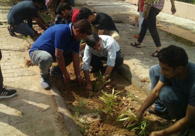 RUHS Plantation photo 4