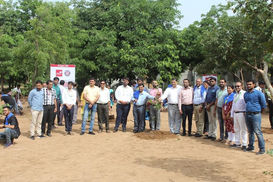 Ganpat University Mehsana Plantation photo 2